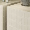 Terrae