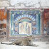 Karen Knorr Special Edition