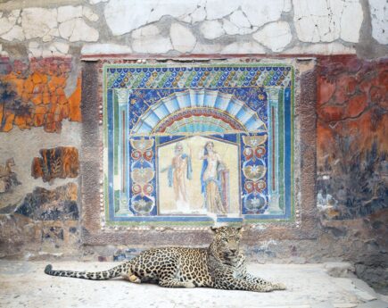 Karen Knorr Special Edition
