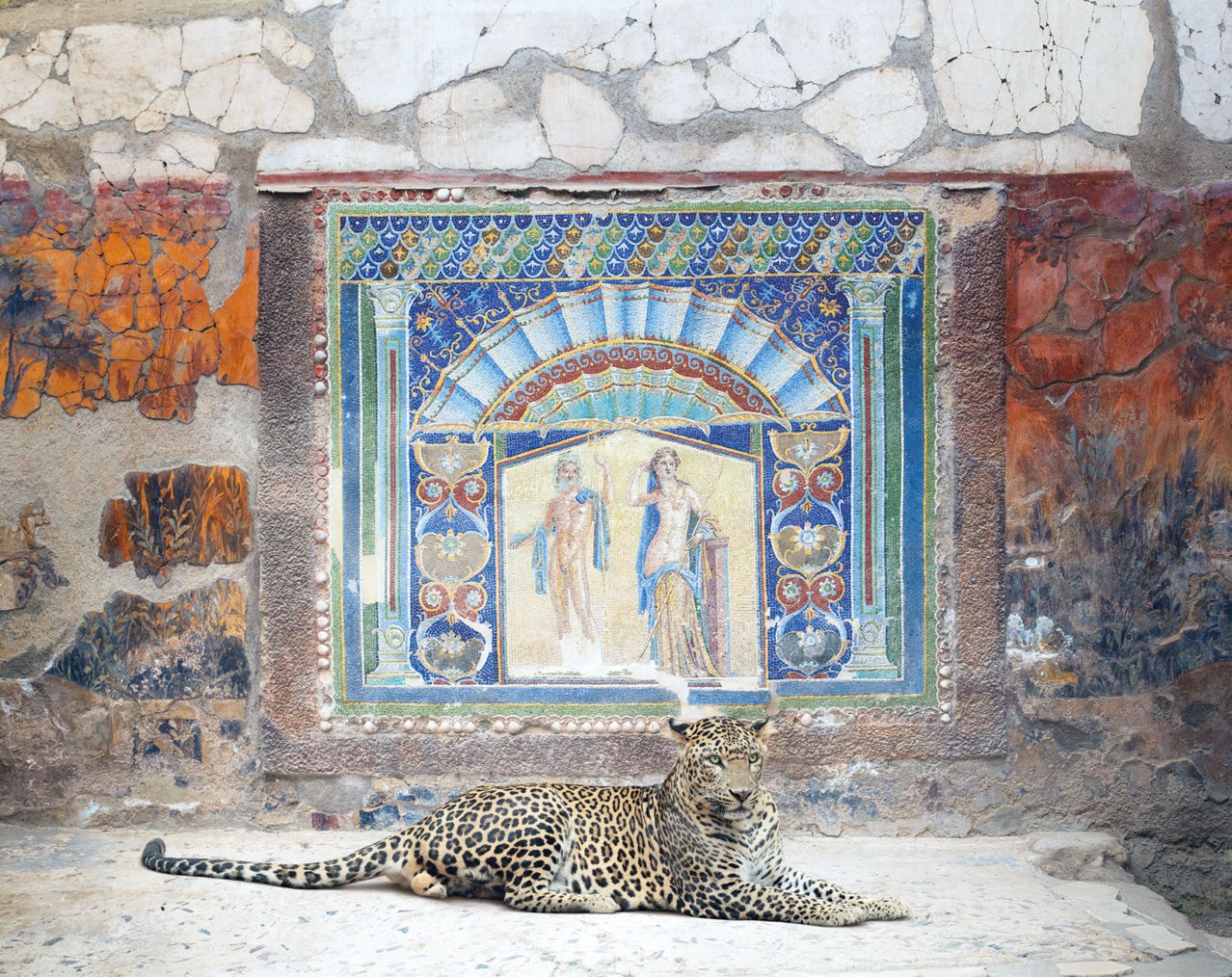 Karen Knorr Special Edition
