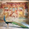 Karen Knorr Special Edition
